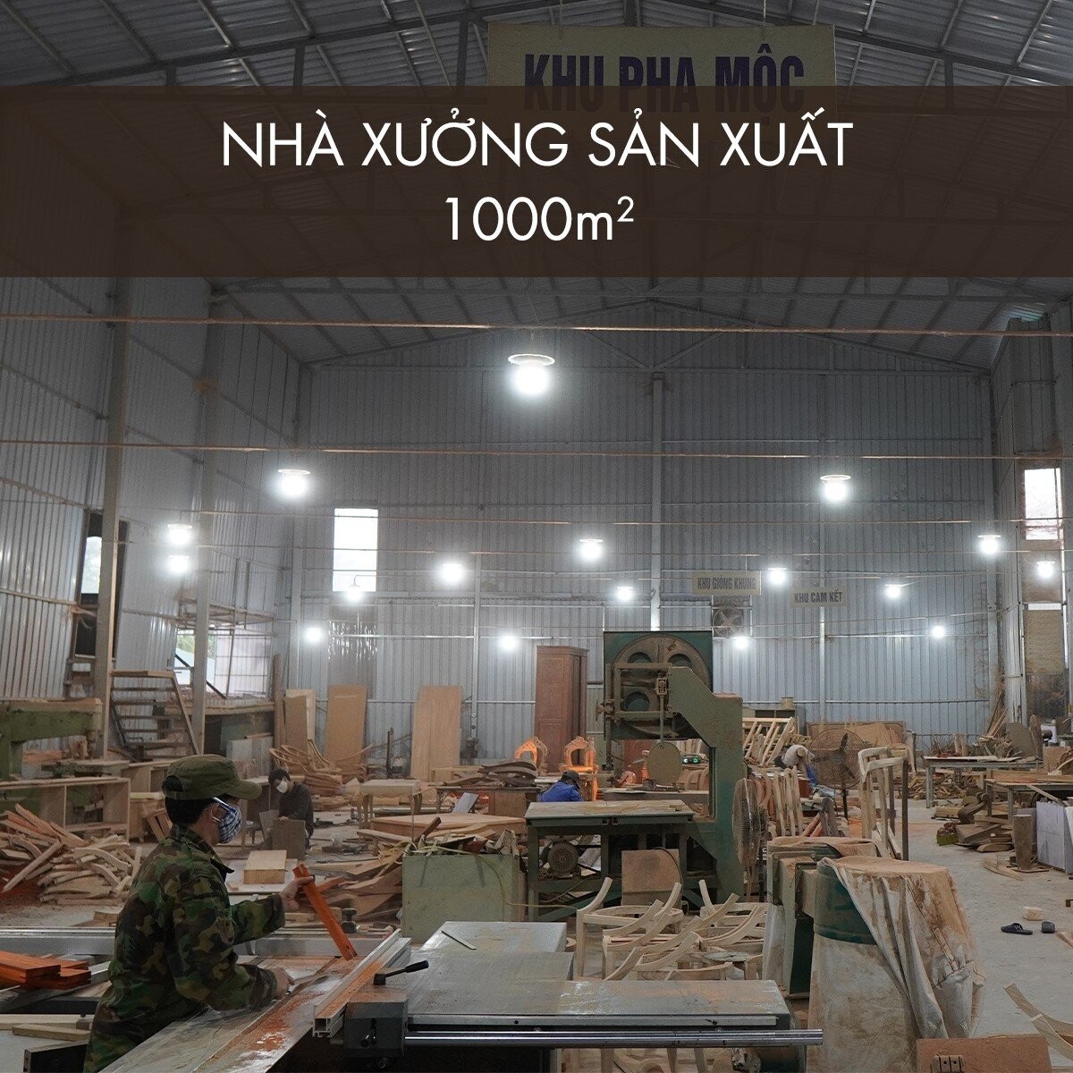 li do lua chon thien van 5